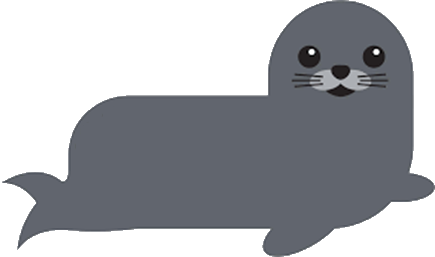 Harbour Seal